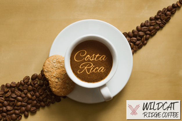 Costa Rica Tarrazu - Wildcat Ridge Coffee Single Origin