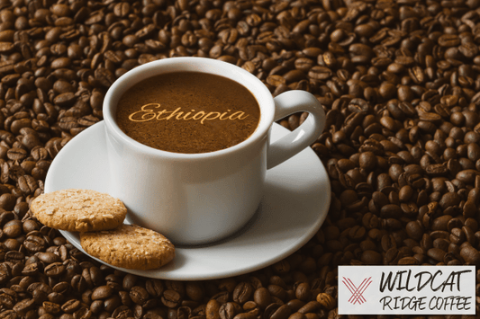 Ethiopia Yirgacheffe - Wildcat Ridge Coffee Single Origin