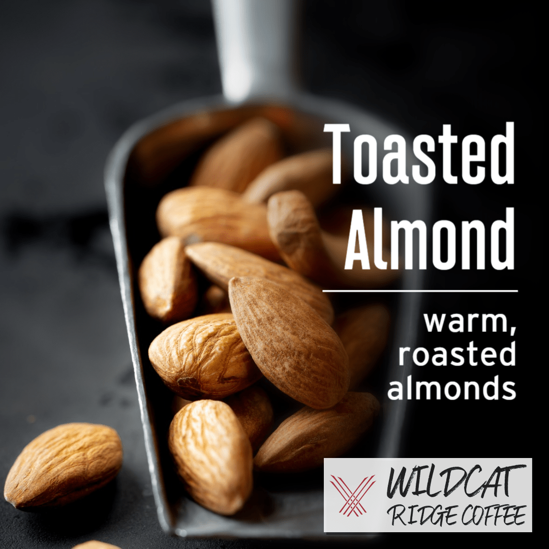 Toasted Almond - Wildcat Ridge Coffee